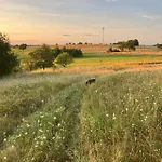 Lazy In Tiny * Hrusov
