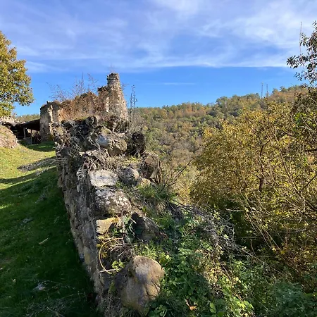 Lazy In Tiny * Hrusov