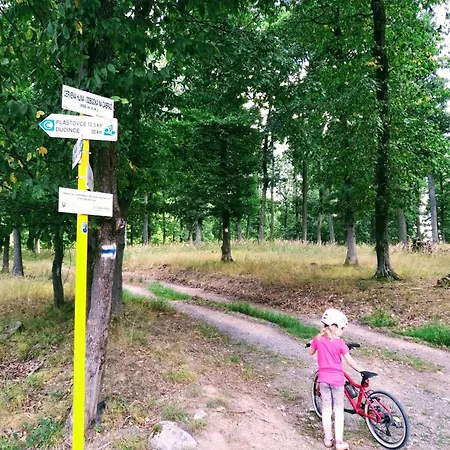 Lazy In Tiny 펜션 *