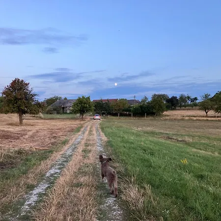 Lazy In Tiny * Hrusov