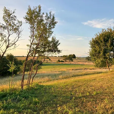 Lazy In Tiny 펜션 Hrusov