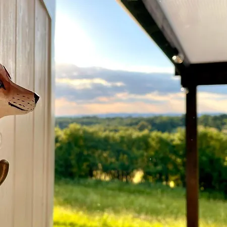 Lazy In Tiny 펜션 Hrusov