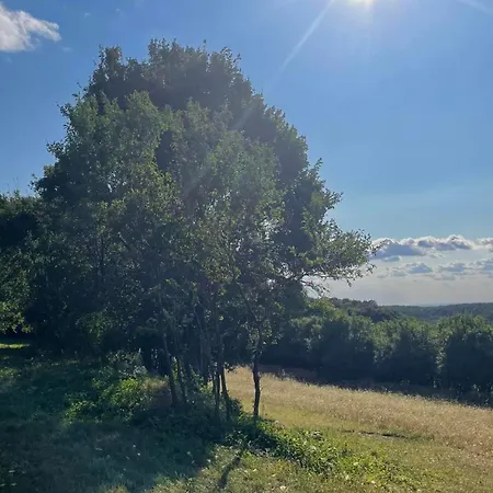 Lazy In Tiny 펜션 Hrusov