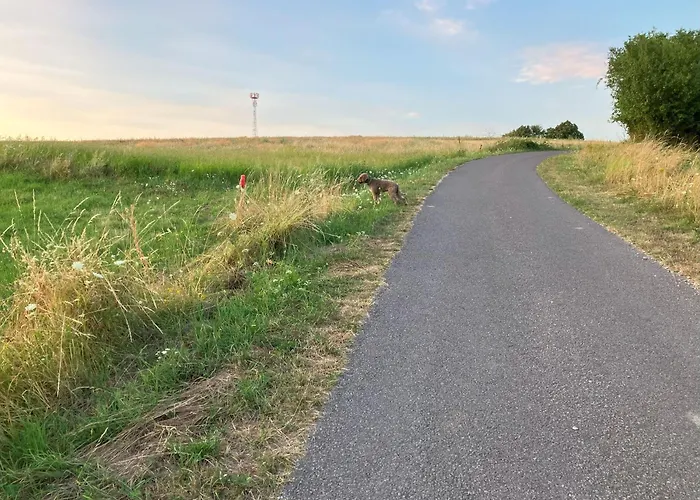 Lazy In Tiny 別荘 Hrušov