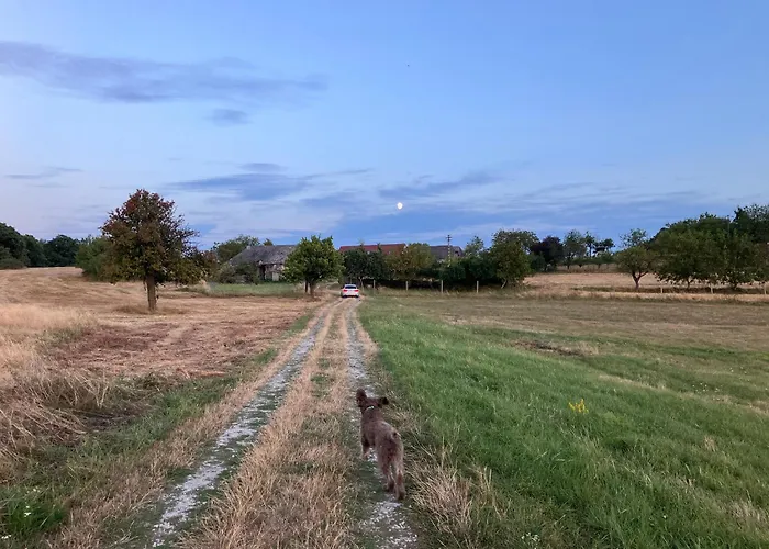 Lazy In Tiny * Hrušov