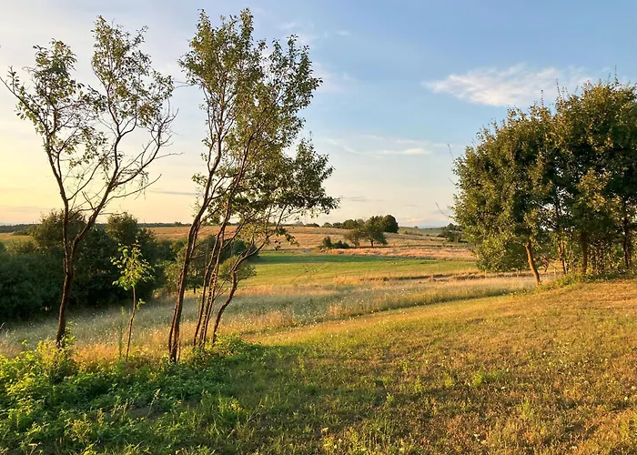 Lazy In Tiny 別荘 Hrušov