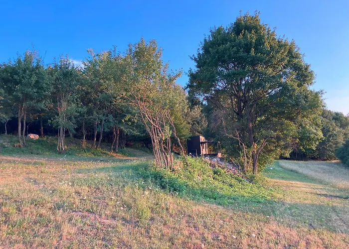 Lazy In Tiny * Hrusov