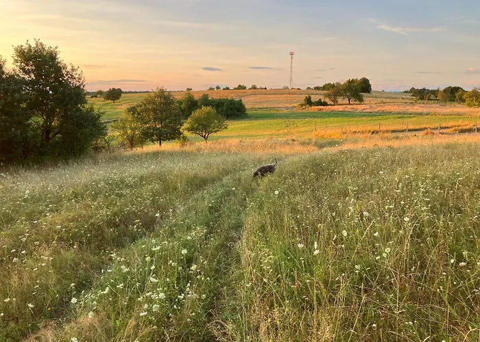 Lazy In Tiny * Hrušov